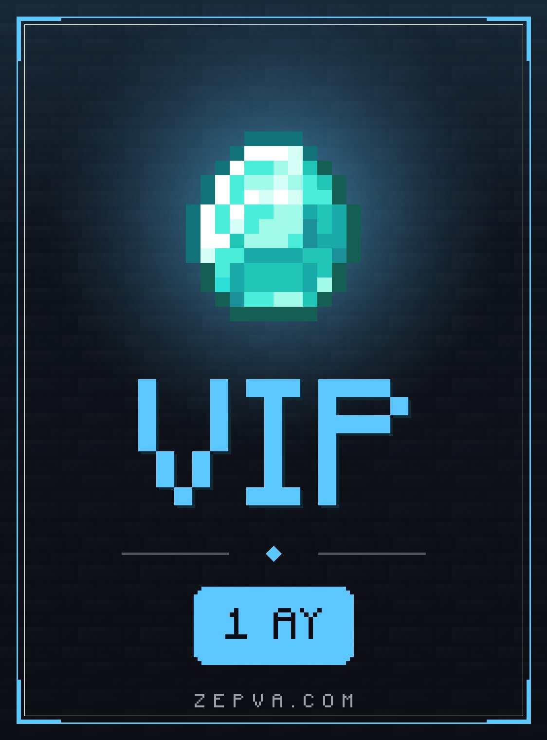 VIP 1 Ay